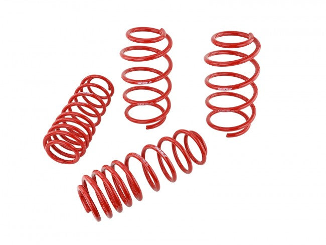 Skunk2 07-12 Honda Civic Type-R (FN2) Lowering Springs (Set of 4)