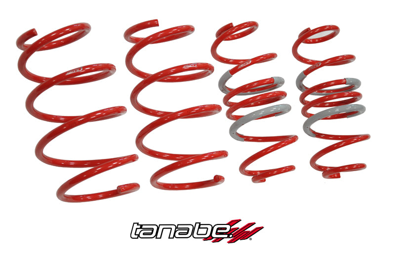 Tanabe TDF153 Springs 10-13 Prius Tanabe