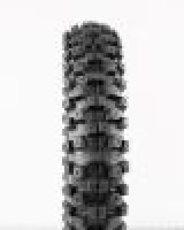 ProTaper MXT 04 Rear Tire 80/100-12