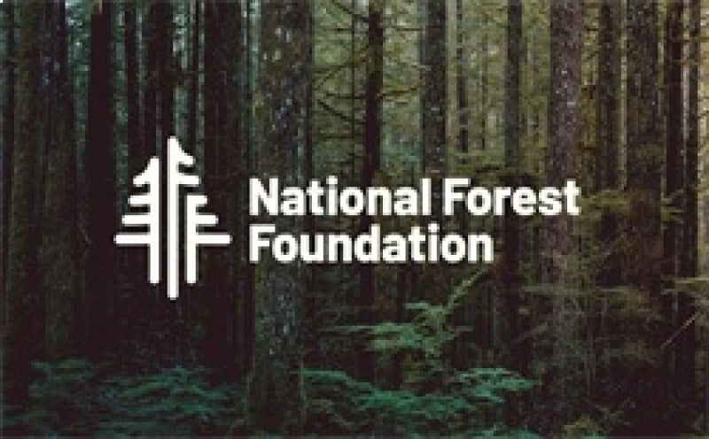 MagnaFlow 2021 Ford Bronco Overland Series Cat-Back Exhaust w/ Single Straight Driver Exit- No Tip Magnaflow