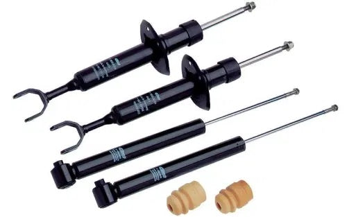 Eibach Pro-Damper Kit for 11-13 Chrysler 300/300C / 11-13 Dodge Challeger/Charger - eliteracefab.com