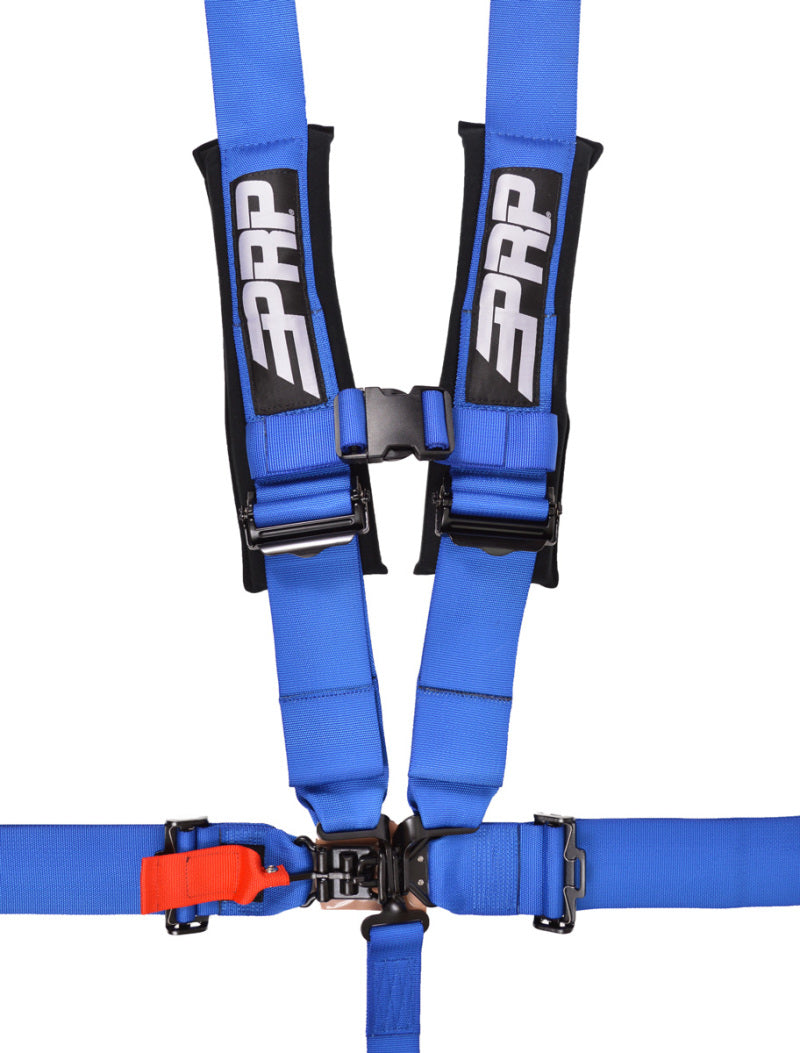 PRP 5.3 Harness- Blue SB5.3B