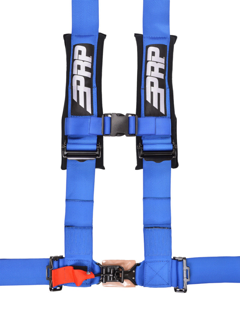 PRP 4.3 Harness- Blue SB4.3B