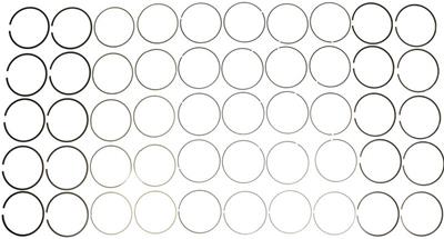 Mahle Rings Dodge / Cummins 6.7L Turbo Diesel 2009 - 2011 Moly Ring Set - eliteracefab.com