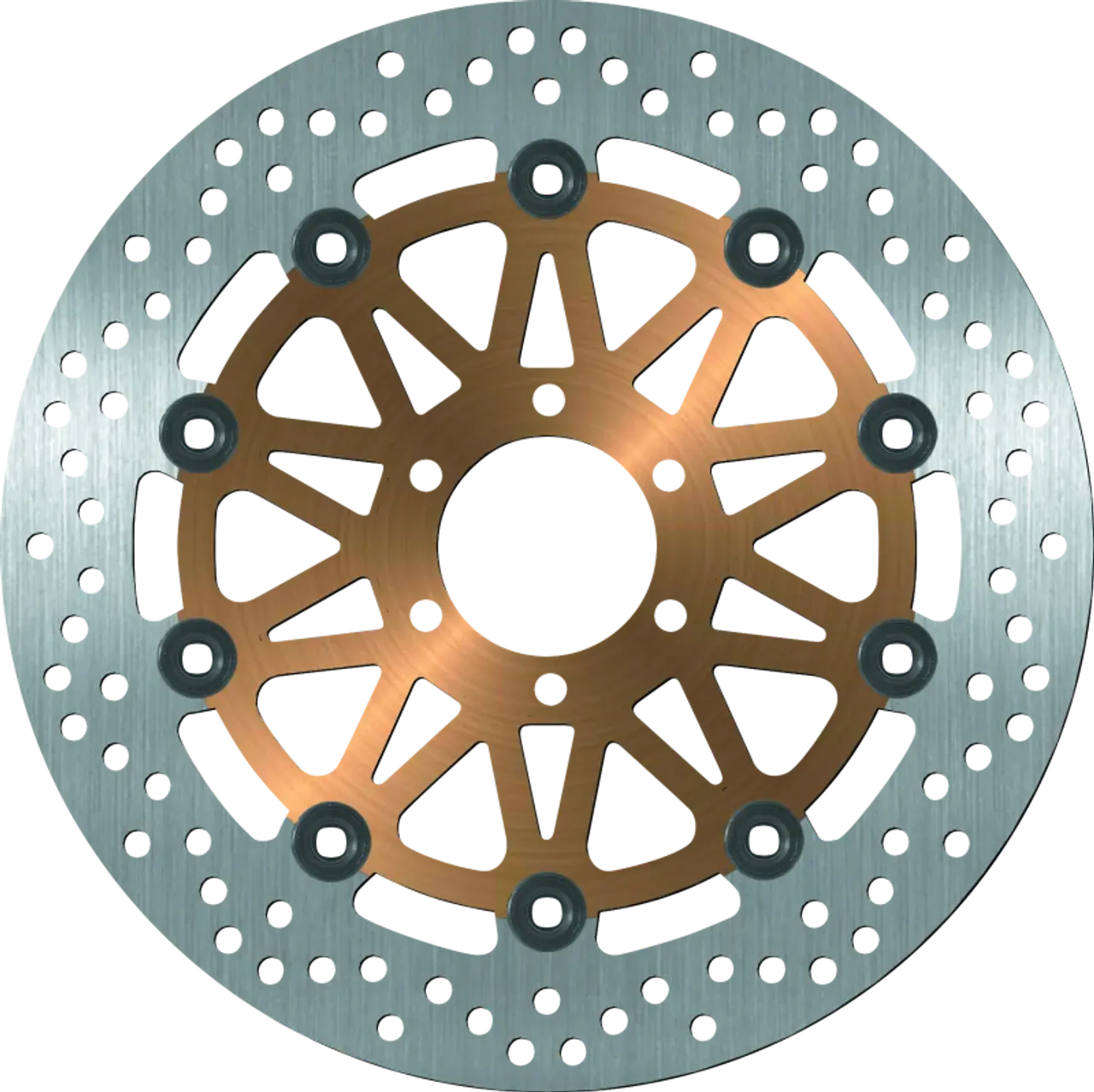 BikeMaster Brake Rotors