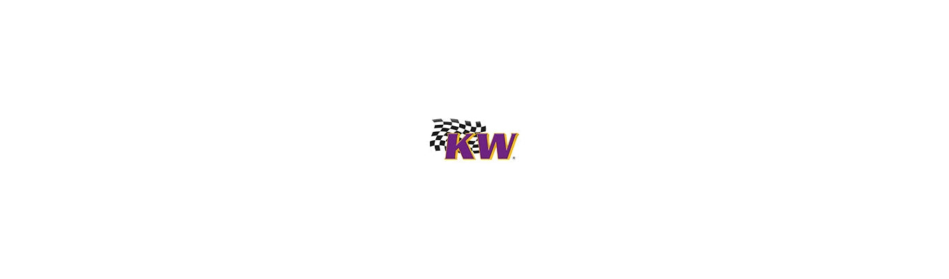 KW Suspension logo featuring bold, distinctive typography with vibrant accents, symbolizing premium coilovers and suspension systems available at Elite Race Fab for precision handling and performance.