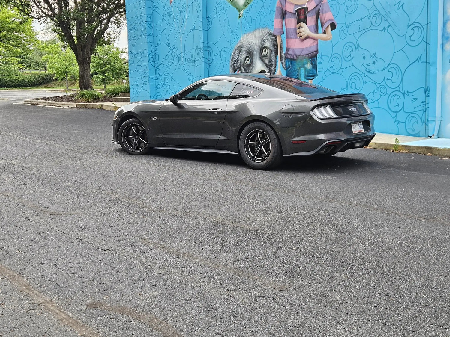 2015–2023 Ford Mustang S550 Air Intake Systems