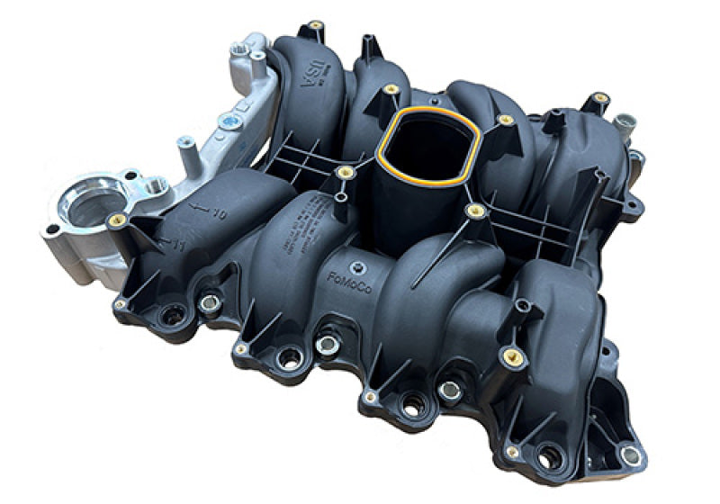 Ford Racing 01-04 Mustang GT 4.6L SOHC 2V Perf Improvement Intake Manifold (Req Manifold Gasket Set) Ford Racing