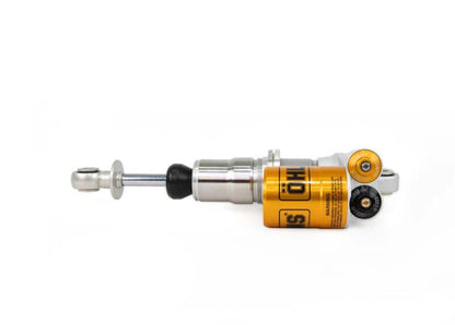 Photo - Close Up