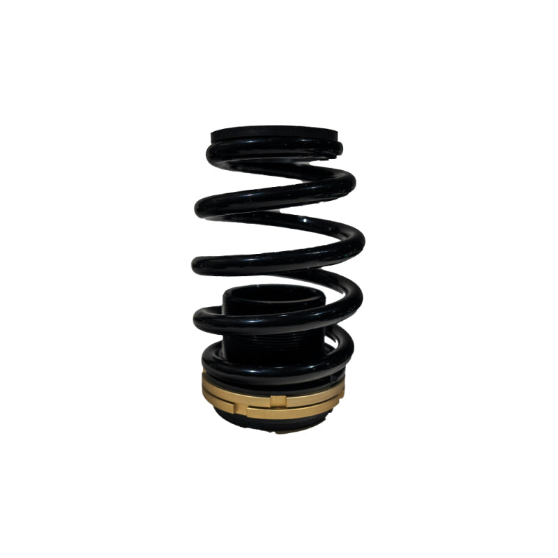 BLOX Racing 12-13 Honda Civic SI Plus Series Fully Adjustable Coilovers BLOX Racing