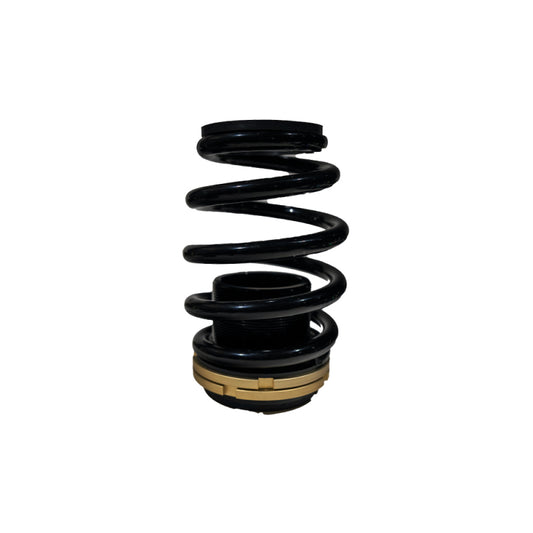 BLOX Racing 12-13 Honda Civic SI Plus Series Fully Adjustable Coilovers BLOX Racing