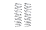 Eibach 2023-2023 Ford F-150 Raptor R Pro-Lift Kit (2 Springs) - E30-35-060-04-20