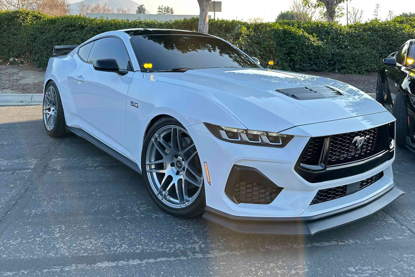 Morimoto 2Banger Ditch Light Kit: 2024+ Ford Mustang (NCS Yellow Flood Beam)