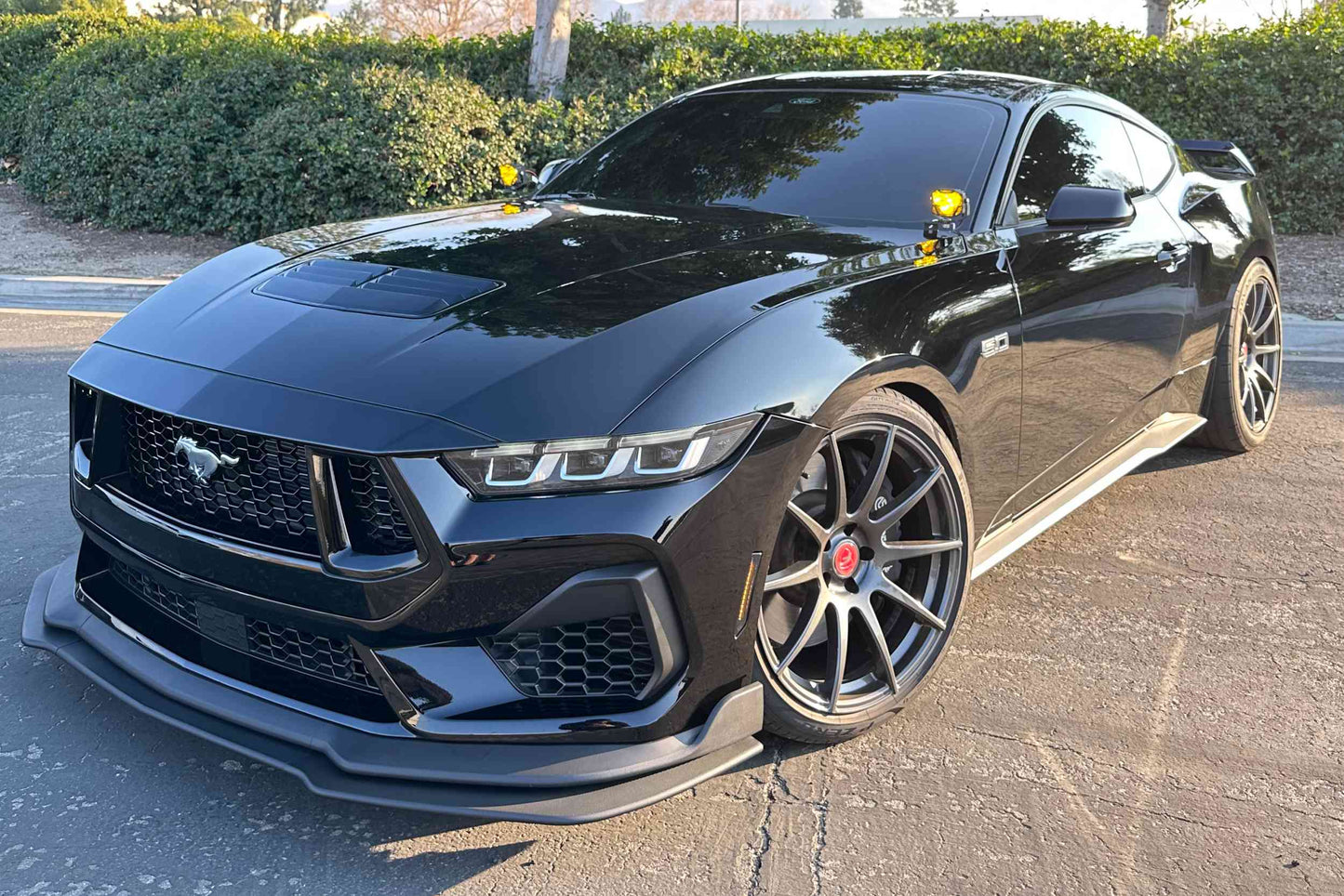 Morimoto 4Banger Ditch Light Kit: 2024+ Ford Mustang (NCS Yellow Combo Beam)