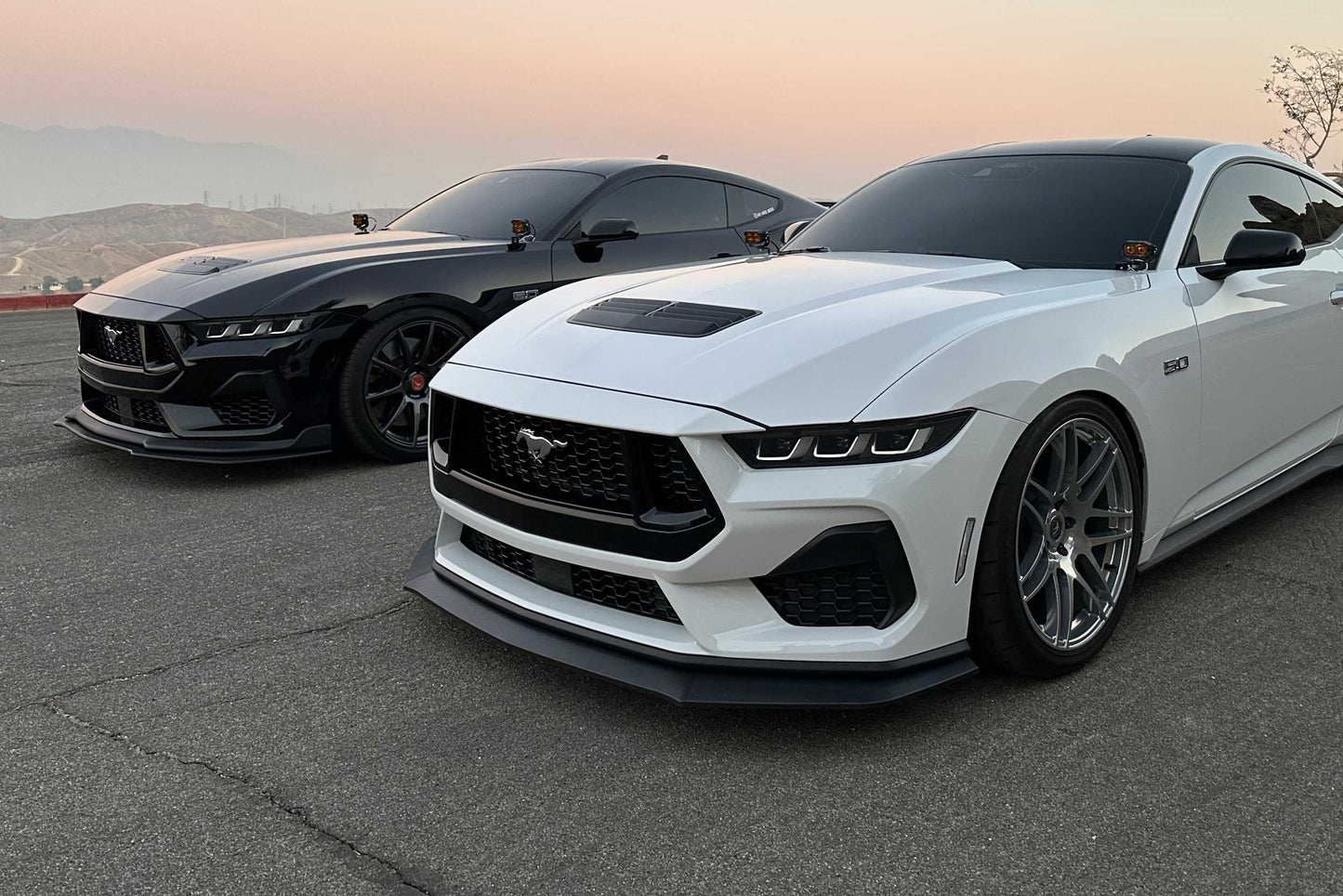 Morimoto 4Banger Ditch Light Kit: 2024+ Ford Mustang (HXB White Combo Beam)