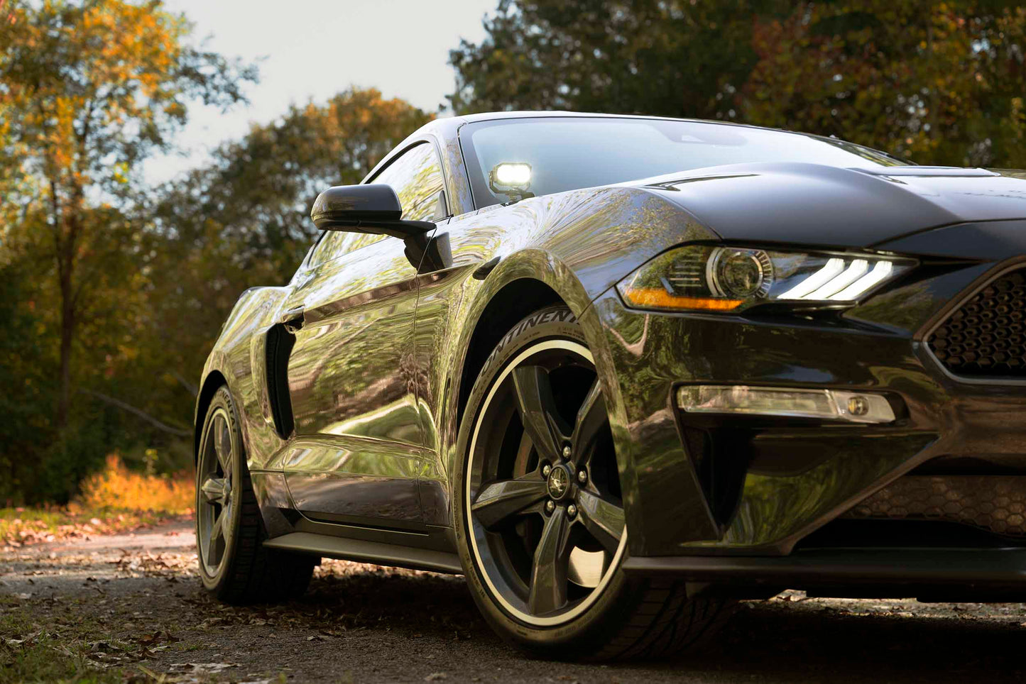 Morimoto 2Banger Ditch Light Kit: 18-23 Ford Mustang (NCS White Flood Beam)