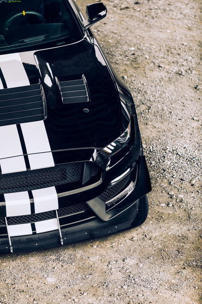 Anderson Composites 2015 - 2020 Shelby GY350 Dry Carbon Fiber Hood - AC-HD15FDMU350-CR-DRY