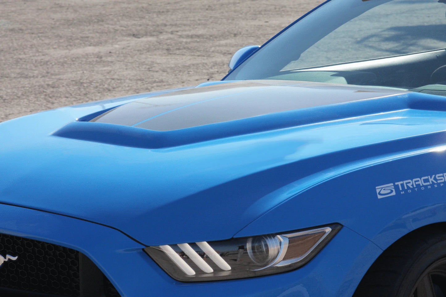 Anderson Composites 15-17 Mustang Fiberglass GT350 Style Hood (Primer) - AC-HD15FDMU-GR-GF