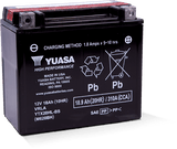 Yuasa Ytx20Hl-Bs Yuasa Battery