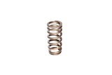 COMP Cams Valve Spring Ford 4.6L 2 Valve