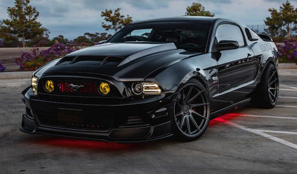 Anderson Composites 2010 - 2014 Shelby GT500 & 2013 - 2014 Mustang Carbon Fiber Ram Air Cowl Hood - AC-HD1011FDMU-TS