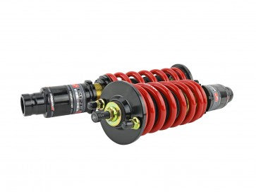 Skunk2 Pro ST Coilovers for 92-95 Honda Civic / 94-01 Acura Integra - 541-05-8720 Skunk2 Racing