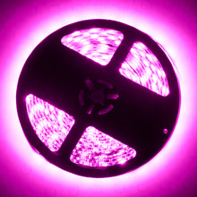 Load image into Gallery viewer, Oracle Exterior Black Flex LED Spool - Pink