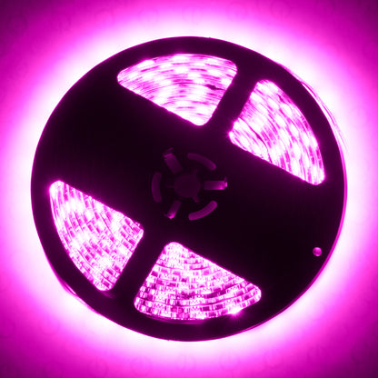 Oracle Exterior Flex LED Spool - Pink