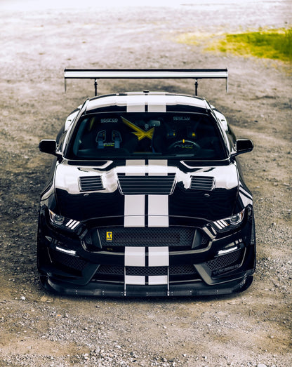 Anderson Composites 2015 - 2020 Shelby GY350 Dry Carbon Fiber Hood - AC-HD15FDMU350-CR-DRY