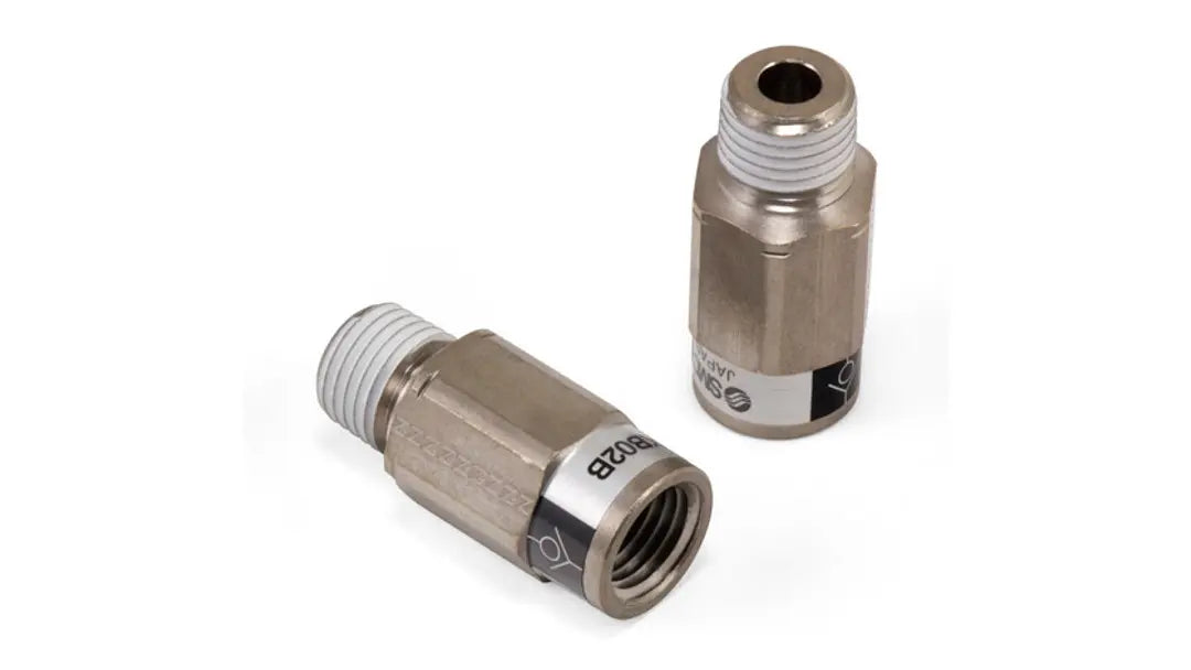 Air Lift 1/4 in. FNPT x 1/4 in Check Valve - 22662