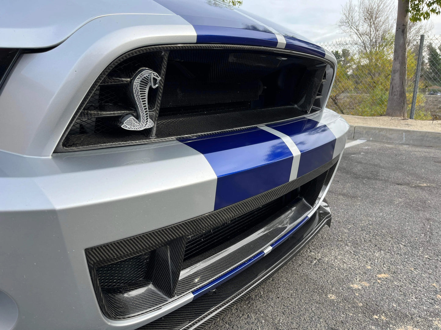 Anderson Composites 13-14 Shelby GT500 Carbon Fiber Front Grille AC-UG1213FDGT Anderson Composites