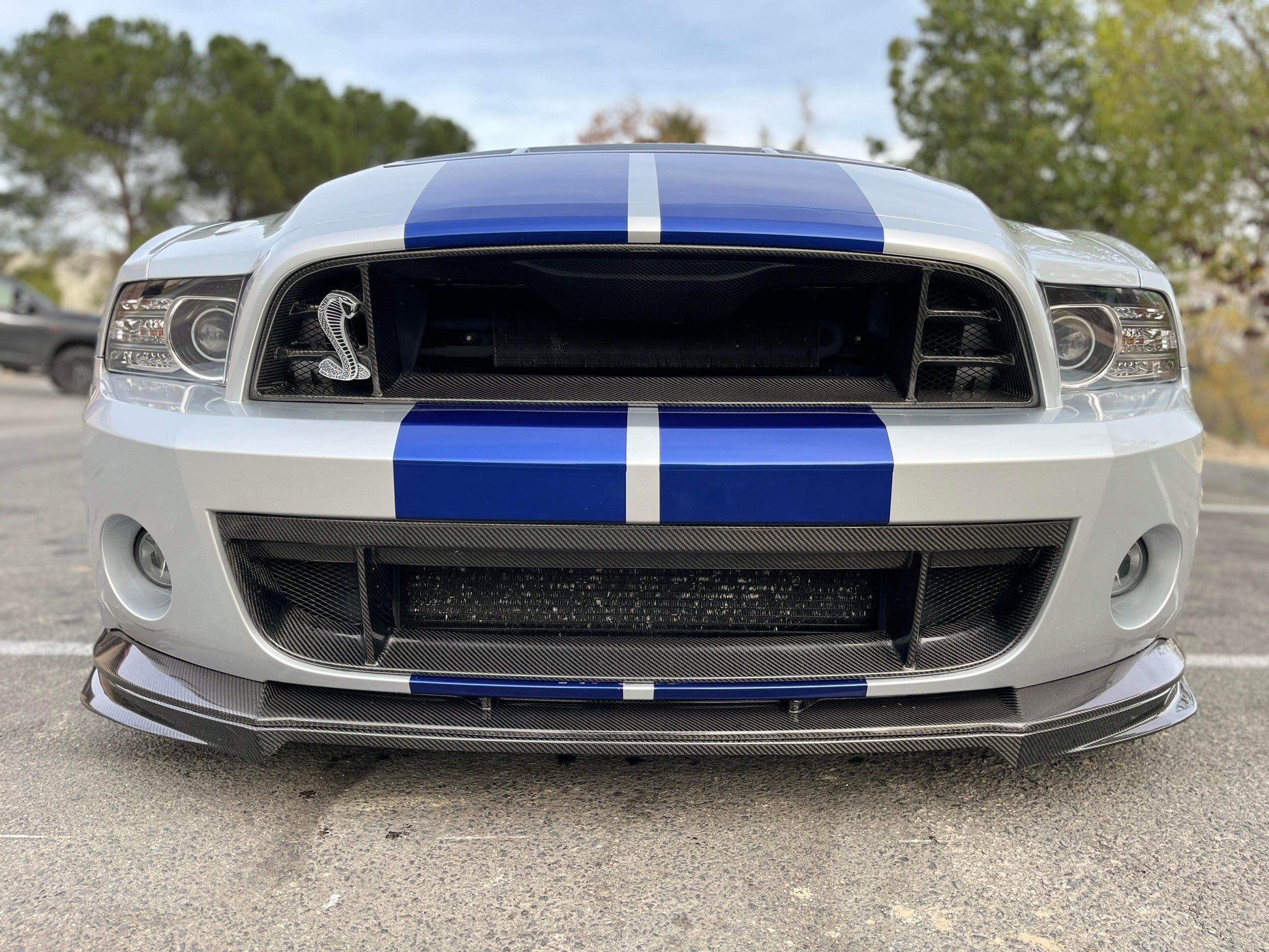 Anderson Composites 13-14 Shelby GT500 Carbon Fiber Front Grille AC-UG1213FDGT Anderson Composites