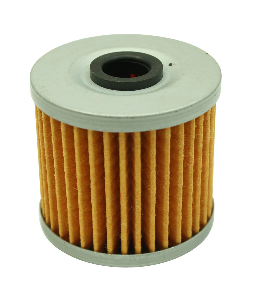 AEM Universal High Volume Fuel Filter - 25-203