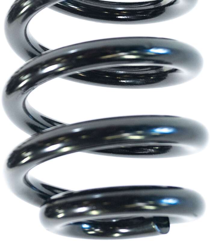 Camburg 05-24 Ford F-250/350 4WD 2.5in. Performance Coil Springs (pair) (gas)