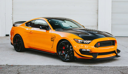 Anderson Composites 15-20 Mustang Shelby GT350 GT5 Double Vented Carbon Fiber Hood- AC-HD15FDMU350-GT5-DS