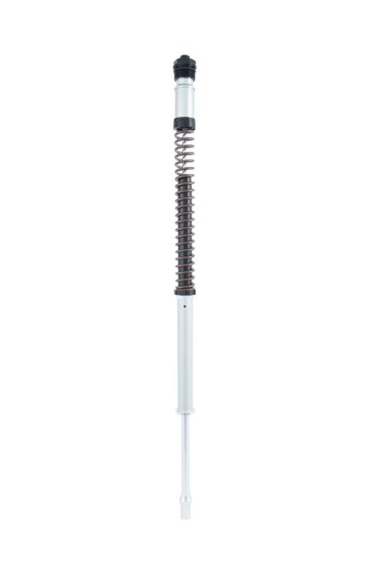 Photo - Close Up
