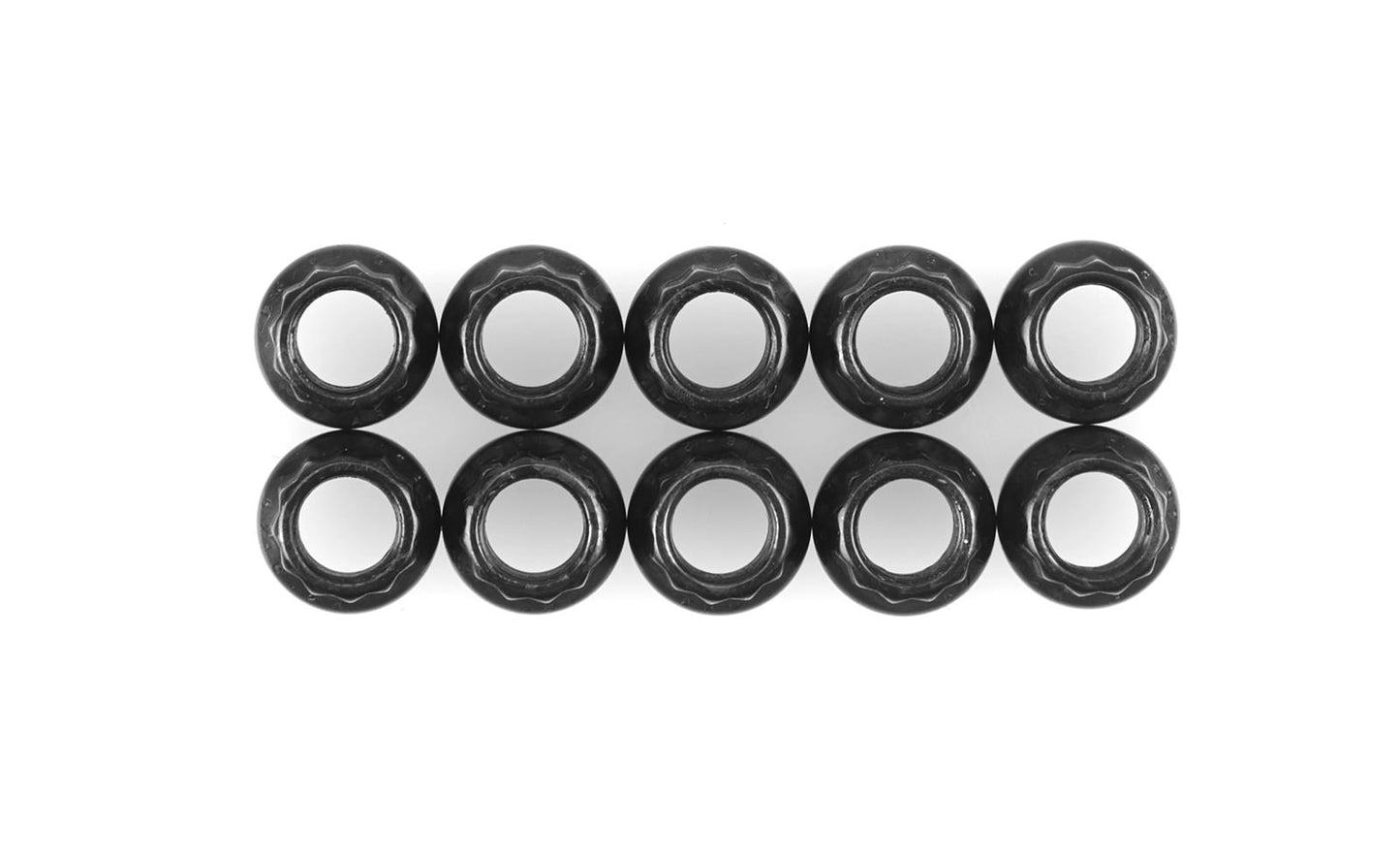 ARP 5/16in -24 12pt Nut Kit (Pack of 10)