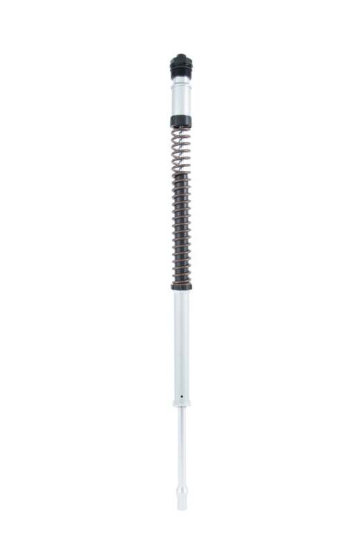 Photo - Close Up