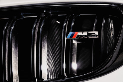 AMS Performance AMS.39.08.0001-1 15-18 BMW M3 / 15-20 BMW M4 w/ S55 3.0L Turbo Engine Carbon Fiber Intake