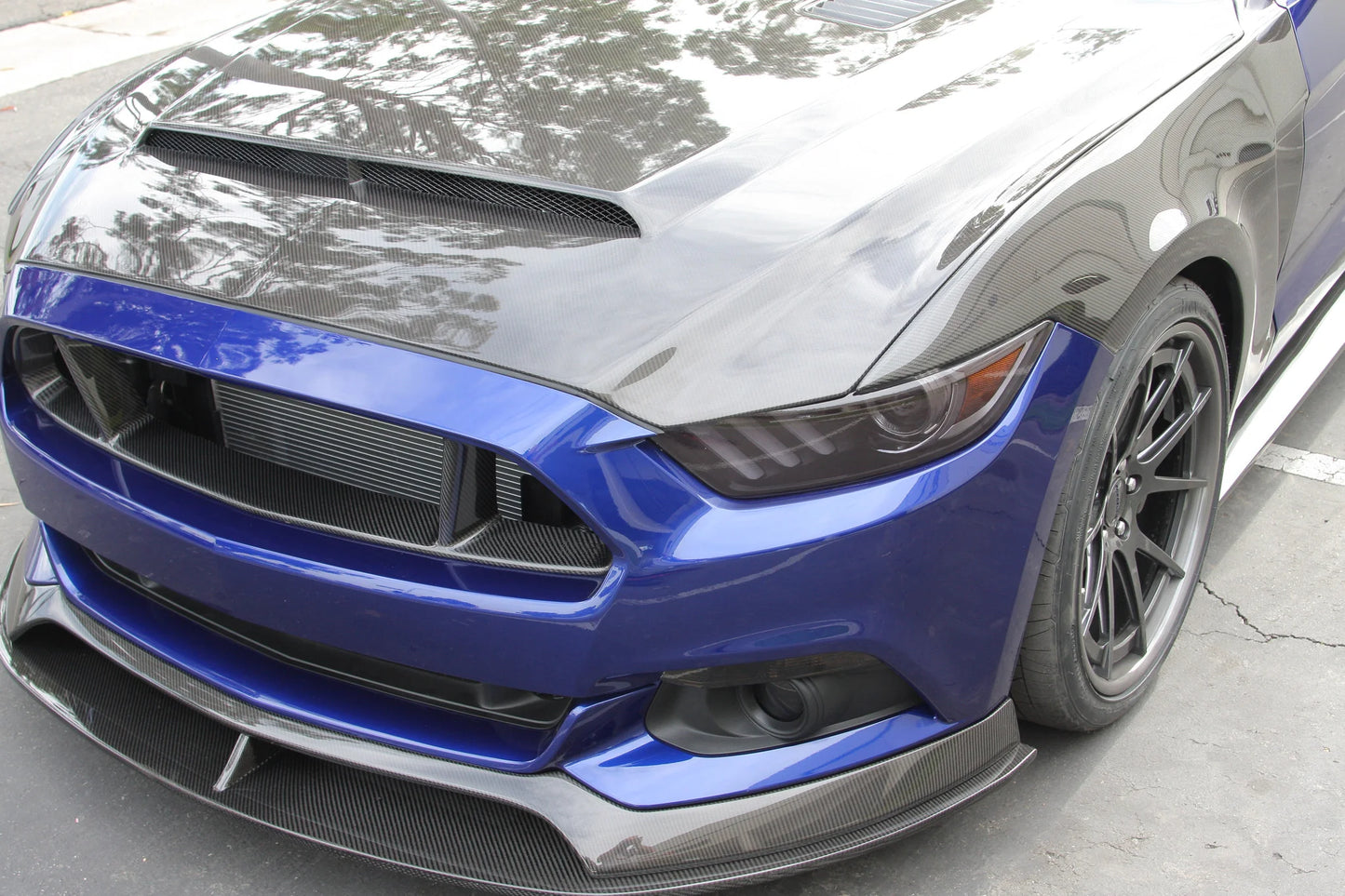 Anderson Composites 15-17 Mustang Carbon Fiber Super Snake Hood AC-HD15FDMU-SN-DS