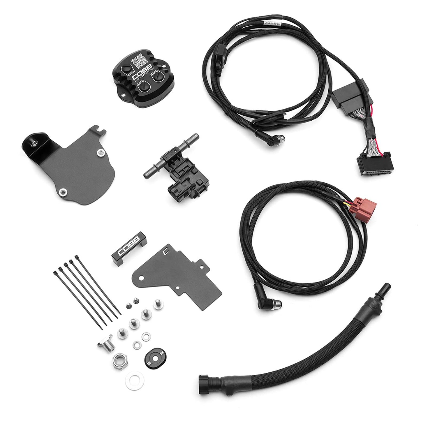 Cobb 17-20 Ford F-150 Ecoboost Raptor CAN Flex Fuel Upgrade Kit - 3F2650