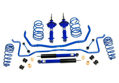 2005-2010 Roush Mustang Suspension Kit 4.6L V8 - 401296