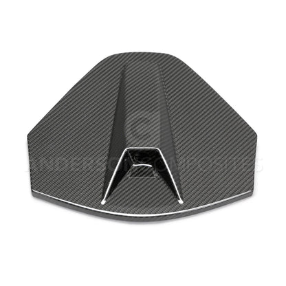 Anderson Composites 2020 - 2024 Corvette C8 Carbon Fiber Rear Camera Decklid Housing Panel - AC-DA20CHC8-C