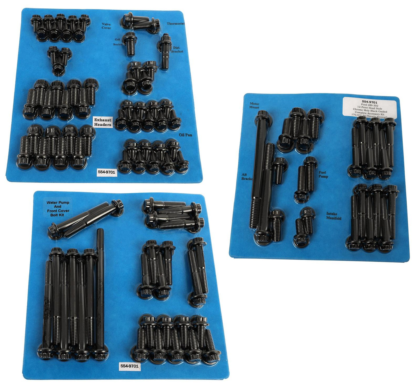 ARP SB Ford 289-302 A CM 12pt Accessory Kit 554-9701
