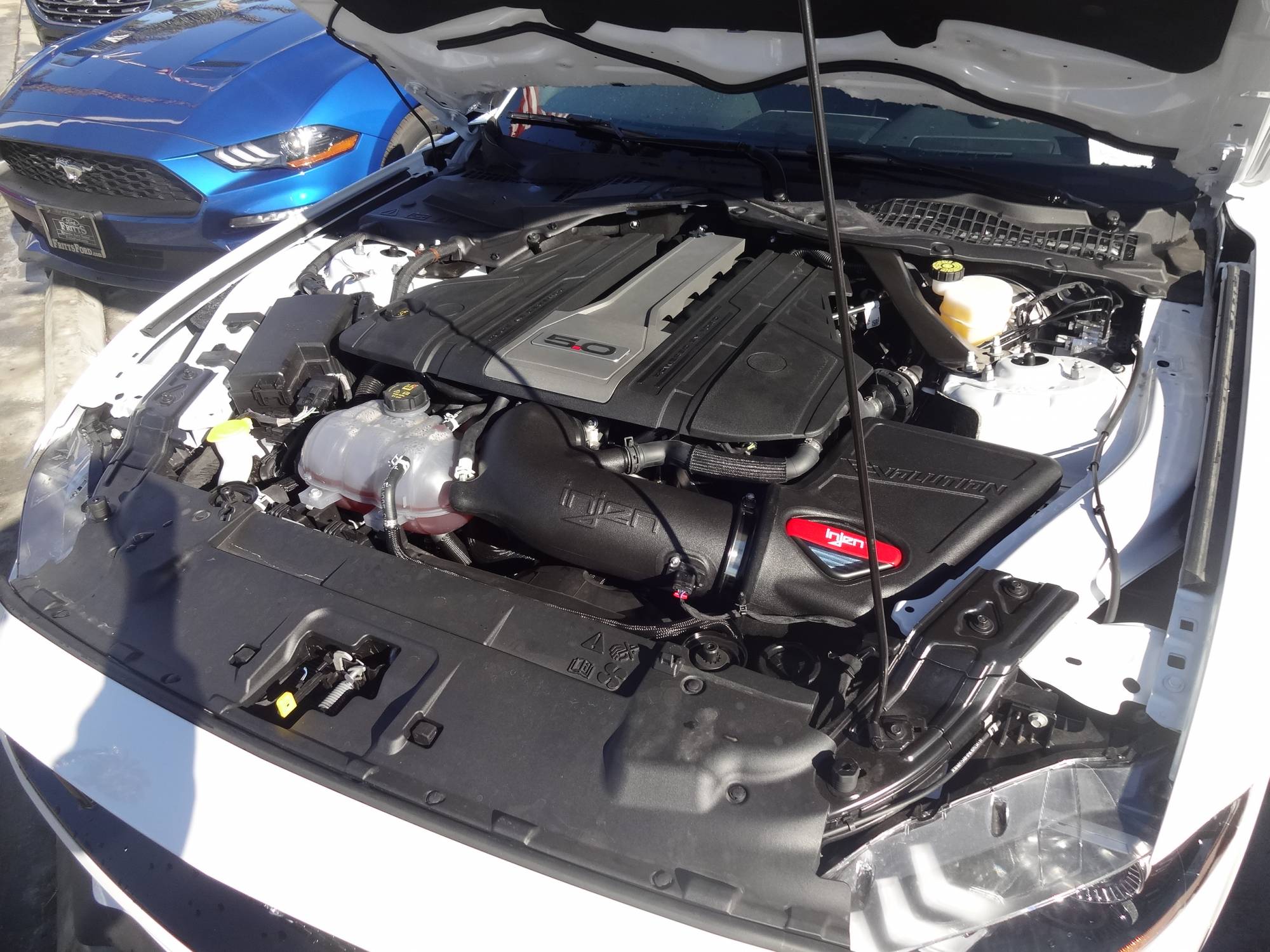 Injen 2018-2023 Ford Mustang GT V8 5.0L Evolution Cold Air Intake System - EVO9202