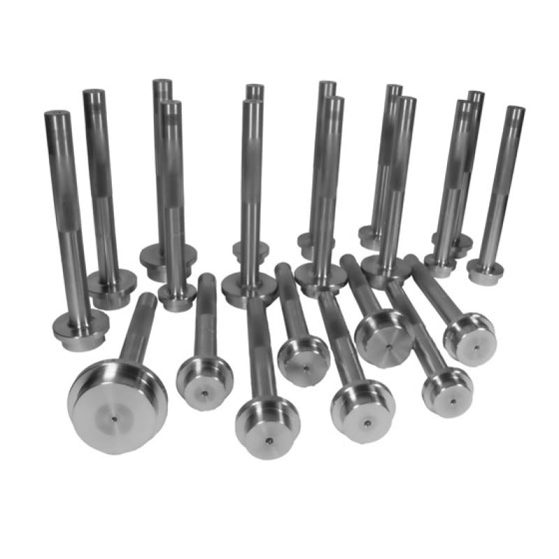 Yukon Gear Bearing Race Driver Set / 21 Piece Yukon Gear & Axle