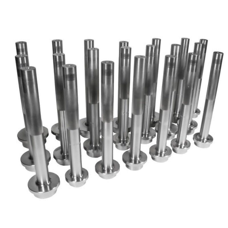 Yukon Gear Bearing Race Driver Set / 21 Piece Yukon Gear & Axle