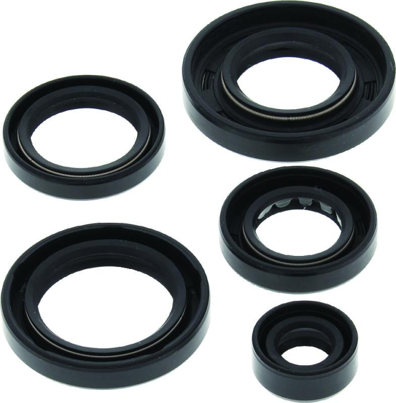 QuadBoss Qb Oil Seal Set - 564593