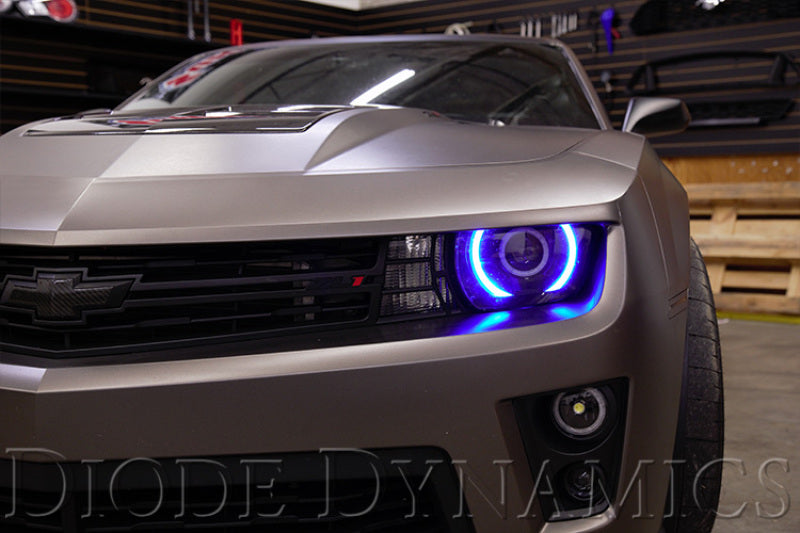 Diode Dynamics 10-13 RS/12-15 ZL1 Camaro RGBW LED Boards