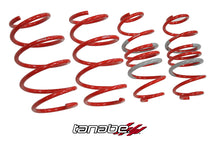 Load image into Gallery viewer, Tanabe TDF153 Springs 10-13 Prius